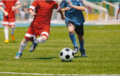 斗球